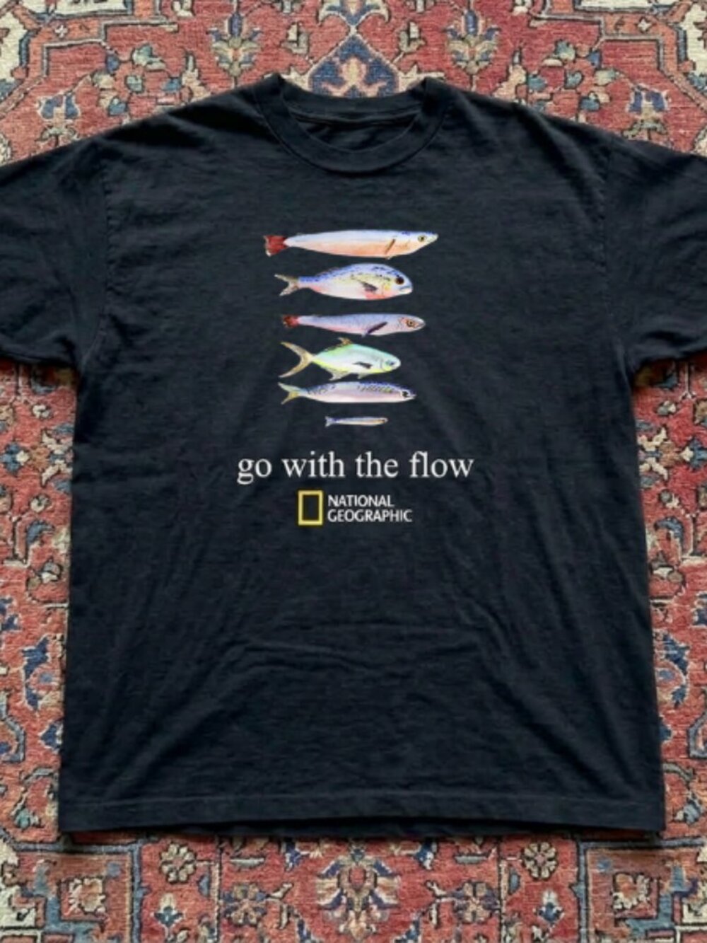 National Geographic go with the flow colorful fishes tee
